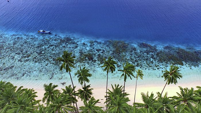 Pulau Setai : Harga Tiket, Foto, Lokasi, Fasilitas dan Spot