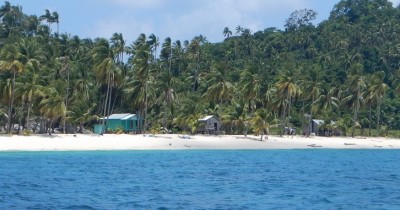 Pulau Pahat, Lahan Konservasi Penyu Sisik Yang Berada Diambang Kepunahan