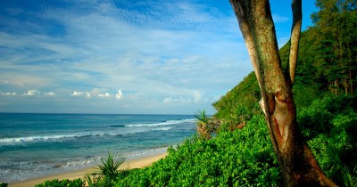 Pantai Momong, Salah Satu Hidden Paradise di Pulau Anambas Kepulauan Riau
