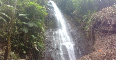 Air Terjun Parijotho​, Surga yang Tersembunyi di Tengah Hutan Pamongan