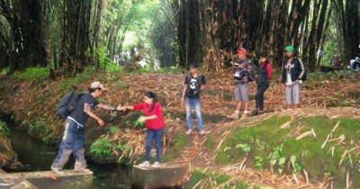 ​​Hutan Bambu​, Mari Melihat Ratusan Kera yang Terdapat di Hutan Bambu Lumajang