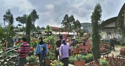 Taman Begonia, Tempat Hits di Bandung dengan Hamparan Bunga Warna Warni