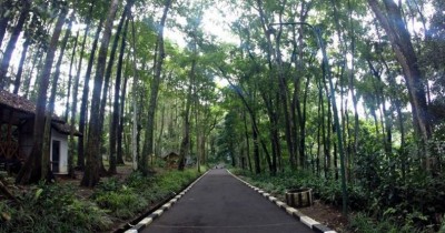Taman Hutan Raya Juanda, Hutan dengan Wisata Komplit di Bandung