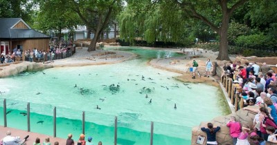 Penguin Waterpark, Tempat Wisata Keluarga dengan Permainan Air Terlengkap di Jawa Barat