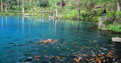 Situ Cicerem, Wisata Alam dengan Air Biru dan Ikan-ikannya