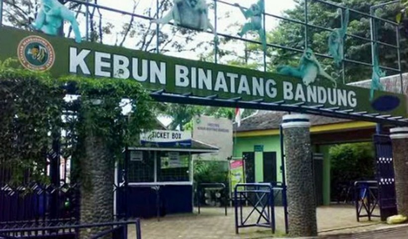 Kebun Binatang Bandung : Harga Tiket, Foto, Lokasi, Fasilitas dan Spot