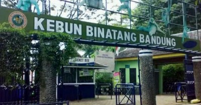 Kebun Binatang Bandung, Tempat Berlibur Asyik Melihat Satwa Bersama Keluarga