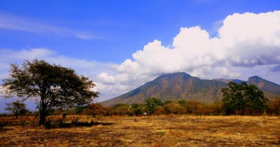 Savana Bekol, Menikmati Eksotisnya Pemandangan Seperti di Afrika