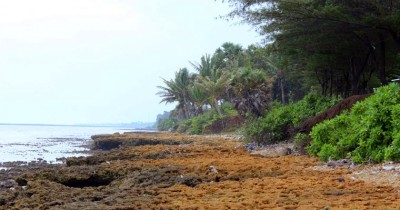 Pantai Batu Kerbuy, Melihat Indahnya Hamparan Batu Karang yang Cantik
