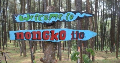 Hutan Pinus Nongko Ijo, Salah Satu Tempat Selfie Menarik di Madiun