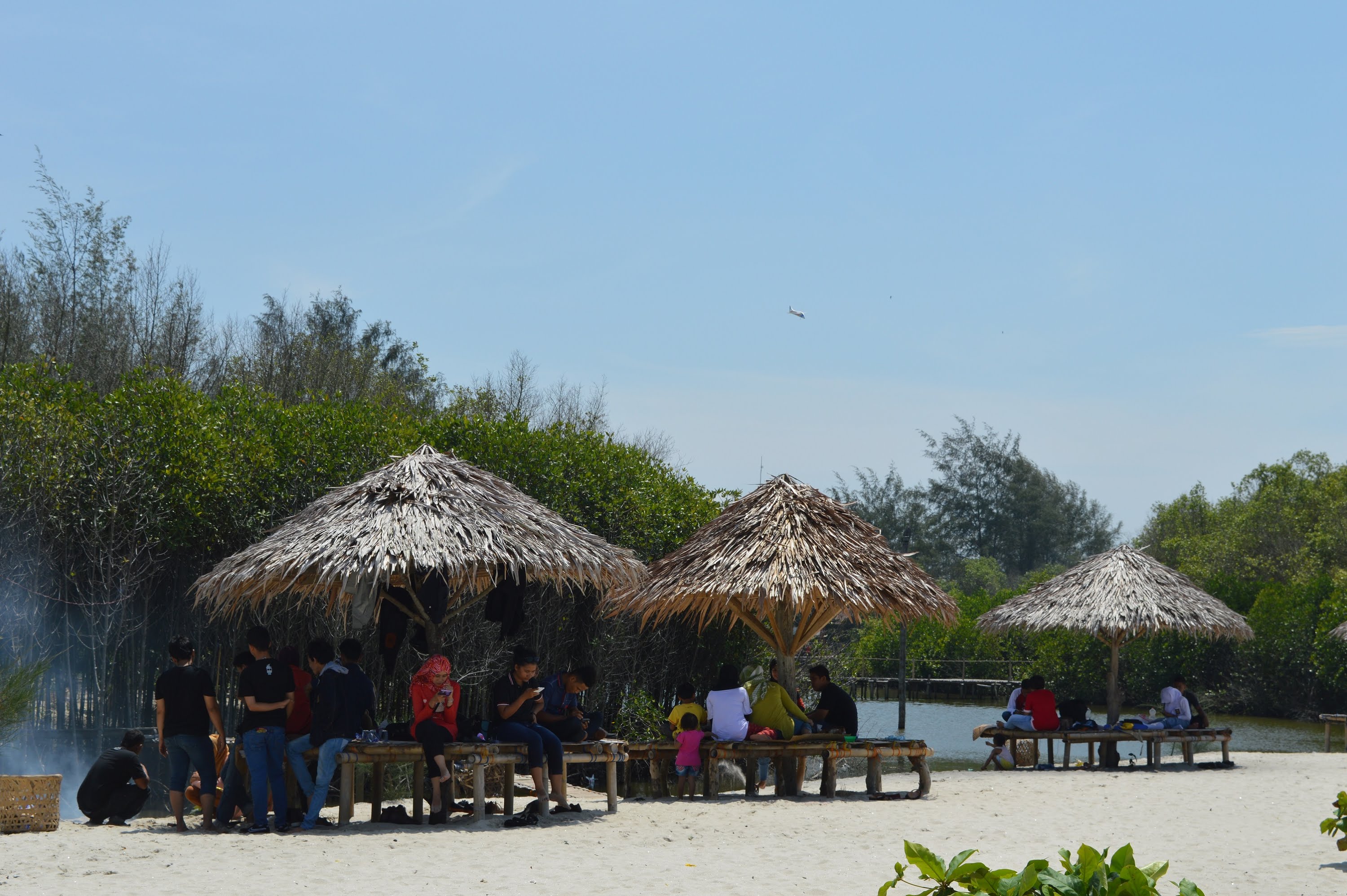 Pantai Mangrove Kampung Nipah : Harga Tiket, Foto, Lokasi, Fasilitas dan Spot