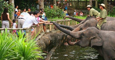 Kebun Binatang Medan, Pesona Wisata Alam dengan Berbagai Jenis Hewan