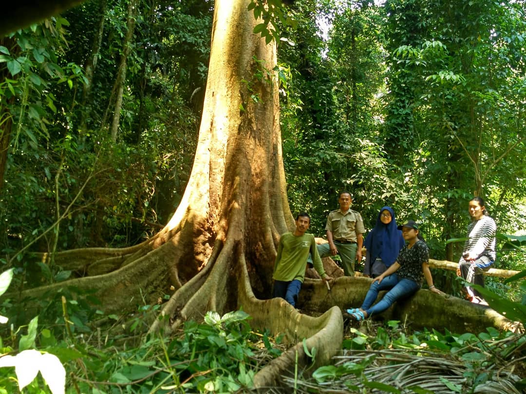 Cagar Alam Sibolangit, Rekreasi Sambil Menjelajahi Hutan Hujan Tropis