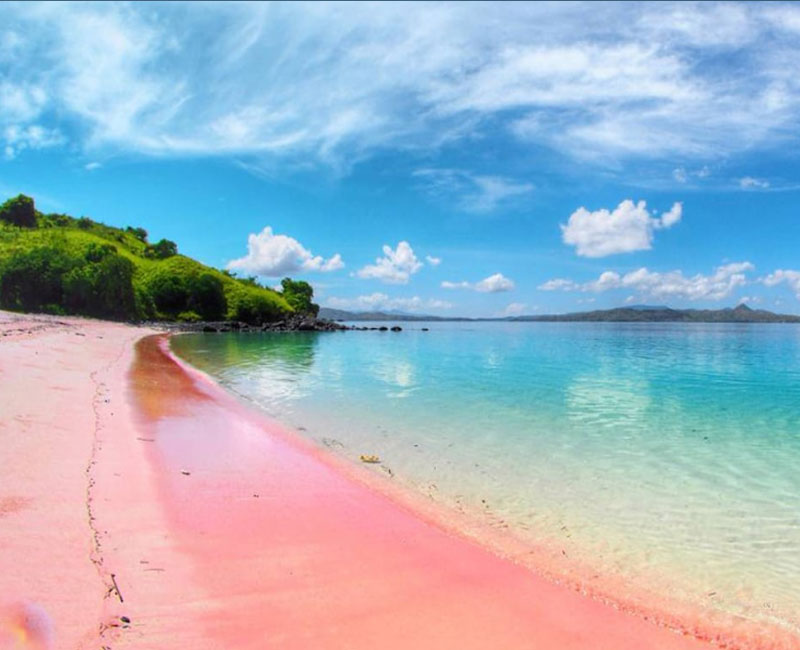 Pantai Pink : Harga Tiket, Foto, Lokasi, Fasilitas dan Spot