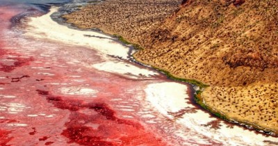 Danau Natron di Tanzania, Danau Mematikan Berwarna Merah